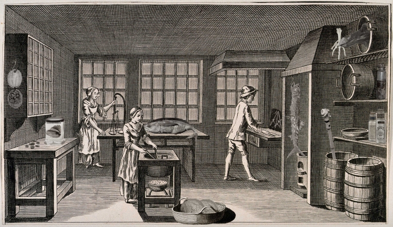 The Kitchen in the Cabinet Exhibition Image